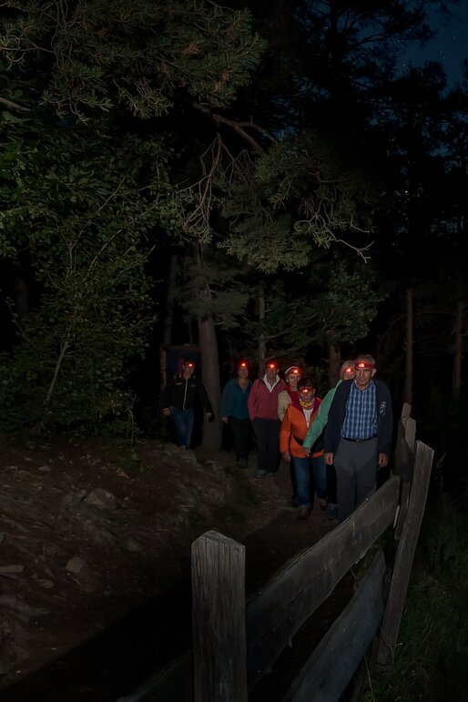 Geführte Nachtwanderung, Stirnlampen, Wald | © Armin Mair (Indio)