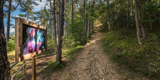 Bildtafel Astronomie Freiluftausstellung Wanderweg Wald | © Armin Maier(Indio)