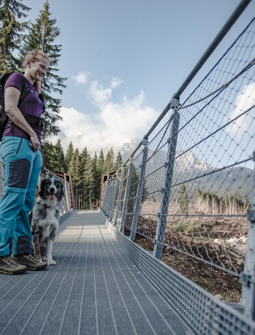 Escursione con il cane sul ponte sospeso del Lago di Carezza | © Eggental Tourismus/Martin Geier