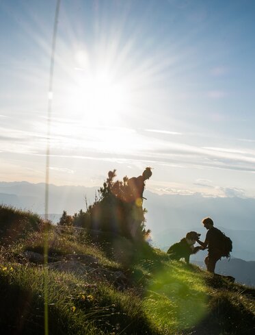 Hiking Dog Sunset Dolomites | © Alexandra Näckler