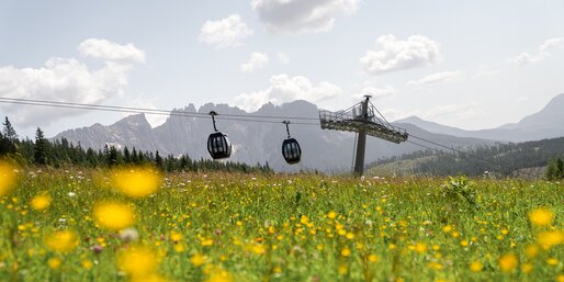 König Laurin cable car meadows of flowers | © Maria Gufler