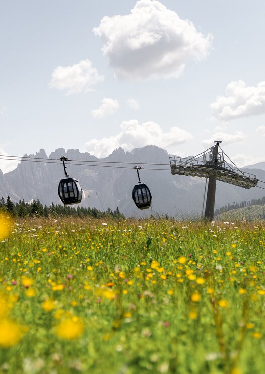 König Laurin cable car meadows of flowers | © Maria Gufler