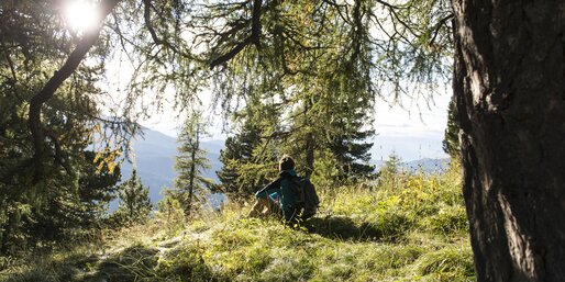 Wanderung Wald Latemar | © Helmuth Rier