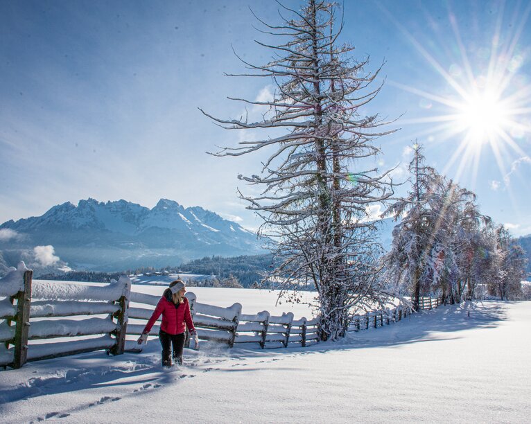 Paesaggio invernale innevato intorno al Latemar | © Alexandra Näckler