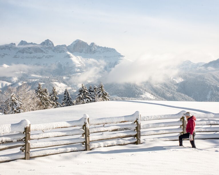 Winter hiking with view to the Rosengarten | © Alexandra Näckler