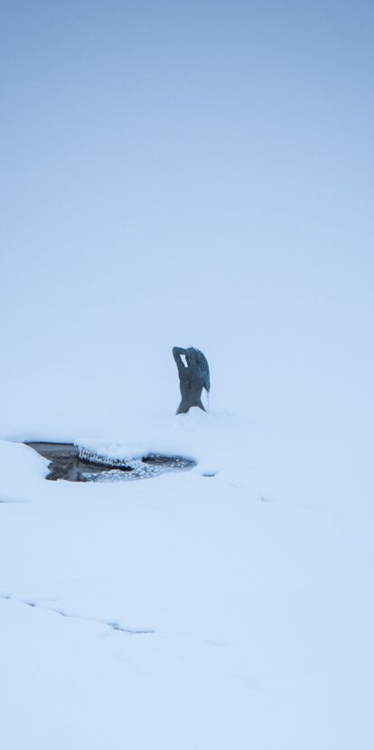 Mermaid frozen Lake Carezza | © Alexandra Näckler