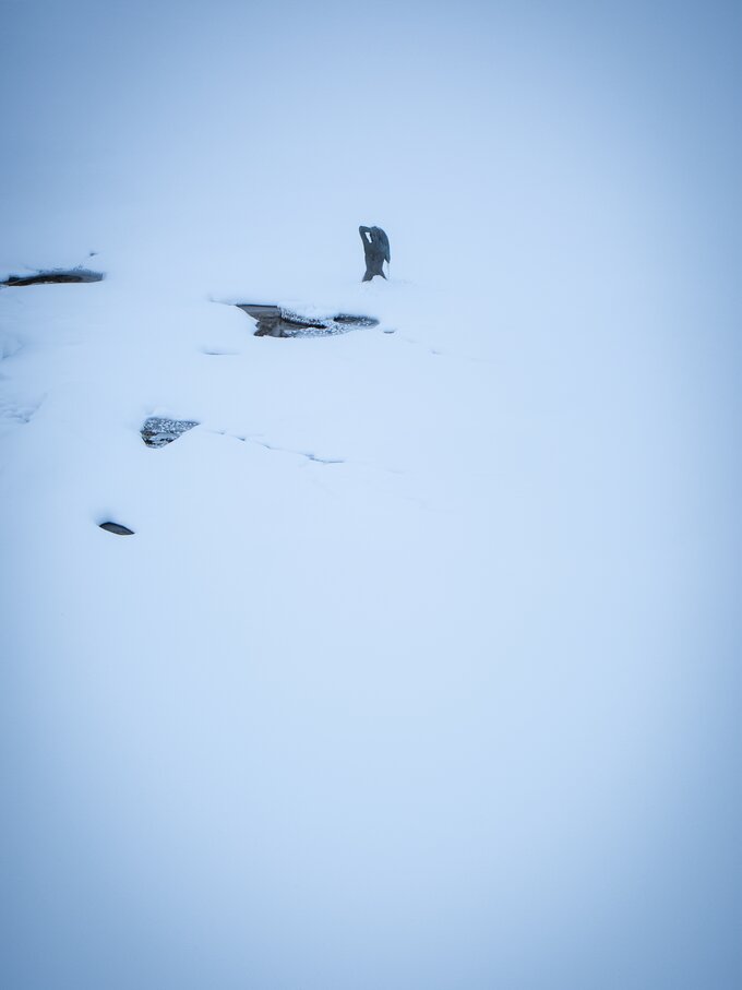 Mermaid frozen Lake Carezza | © Alexandra Näckler