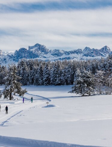 Langlaufen Deutschnofen verschneiter Rosengarten | © Clicktext