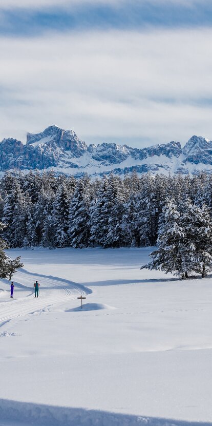 Langlaufen Deutschnofen verschneiter Rosengarten | © Clicktext