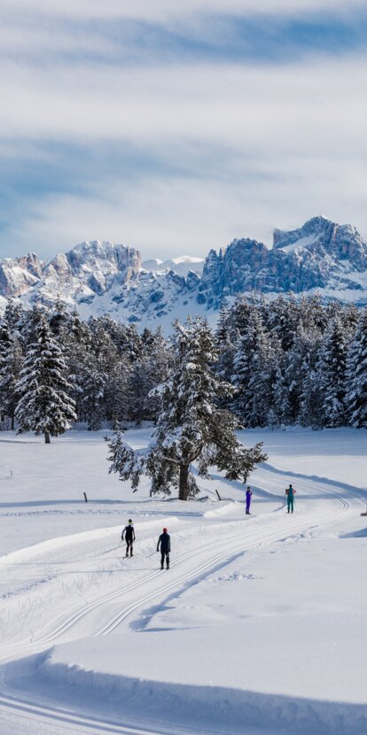 Cross-country skiing Deutschnofen snowy Rosengarten | © Clicktext