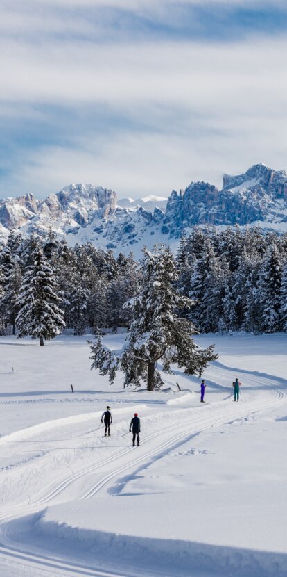 Sci di fondo Nova Ponente innevato Catinaccio | © Clicktext