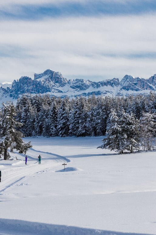 Cross-country skiing Deutschnofen snowy Rosengarten | © Clicktext