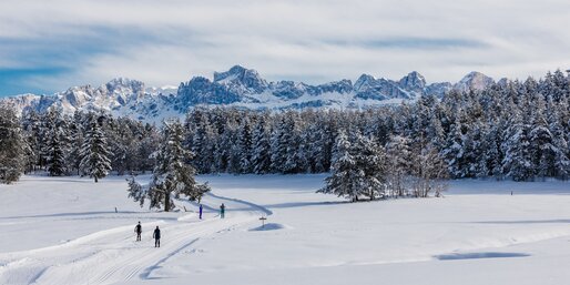 Langlaufen Deutschnofen verschneiter Rosengarten | © Clicktext