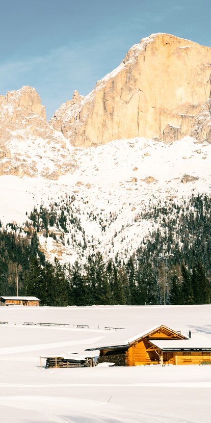 Langläufer am Fuße des Rosengartens | © Carezza Dolomites/StorytellerLabs