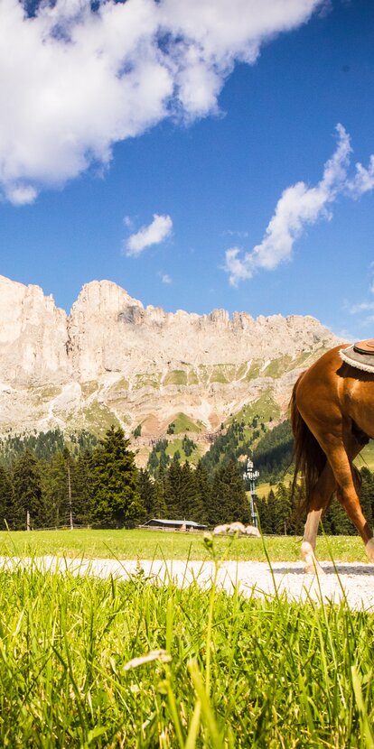 Kinder reiten Blick Rosengarten | © Eggental Tourismus/StorytellerLabs