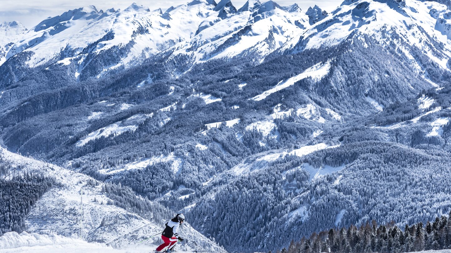 sciatore panorama montagne foresta inverno | © Ph. Paolo Codeluppi