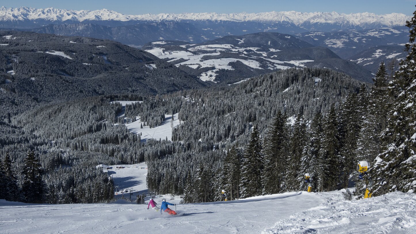 skier winter forest mountains panorama | © Ph. Paolo Codeluppi