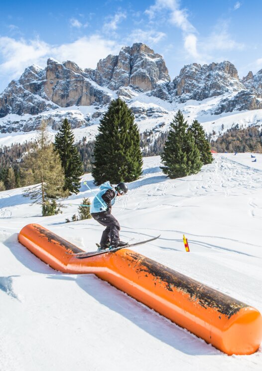 Ski Freestyler DFD-Tank Blick Rosengarten | © Carezza Dolomites/F-Tech