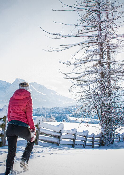 Winter landscape Latemar - Deutschnfoen | © Alexandra Näckler