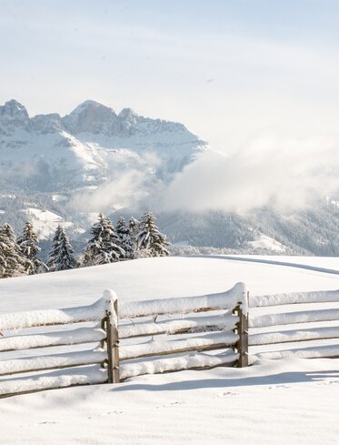 Winter hiking with view to the Rosengarten | © Alexandra Näckler