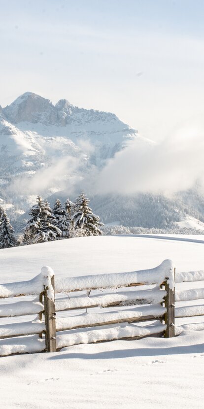 Winter hiking with view to the Rosengarten | © Alexandra Näckler