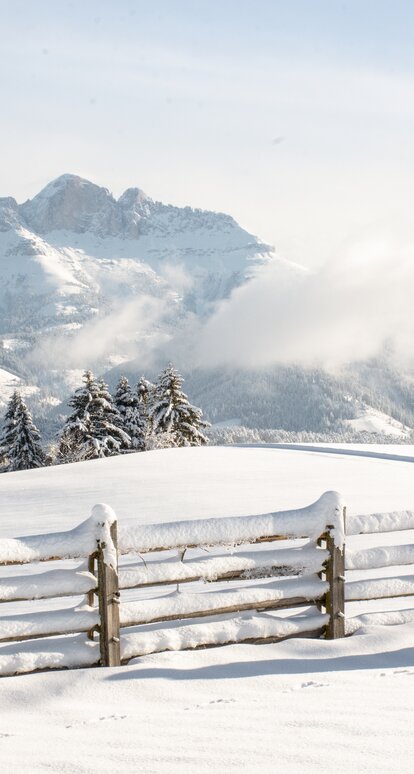 Winterwandern mit Blick auf Rosengarten | © Alexandra Näckler