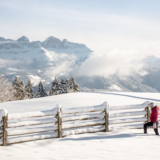 Winter hiking with view to the Rosengarten | © Alexandra Näckler