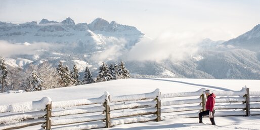 Winter hiking with view to the Rosengarten | © Alexandra Näckler