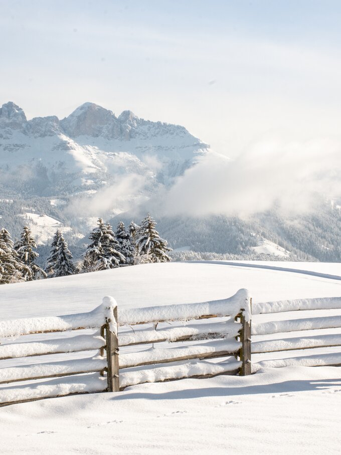 Winter hiking with view to the Rosengarten | © Alexandra Näckler