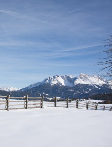 Rosengarten und Latemar im Winter | © Alexandra Näckler