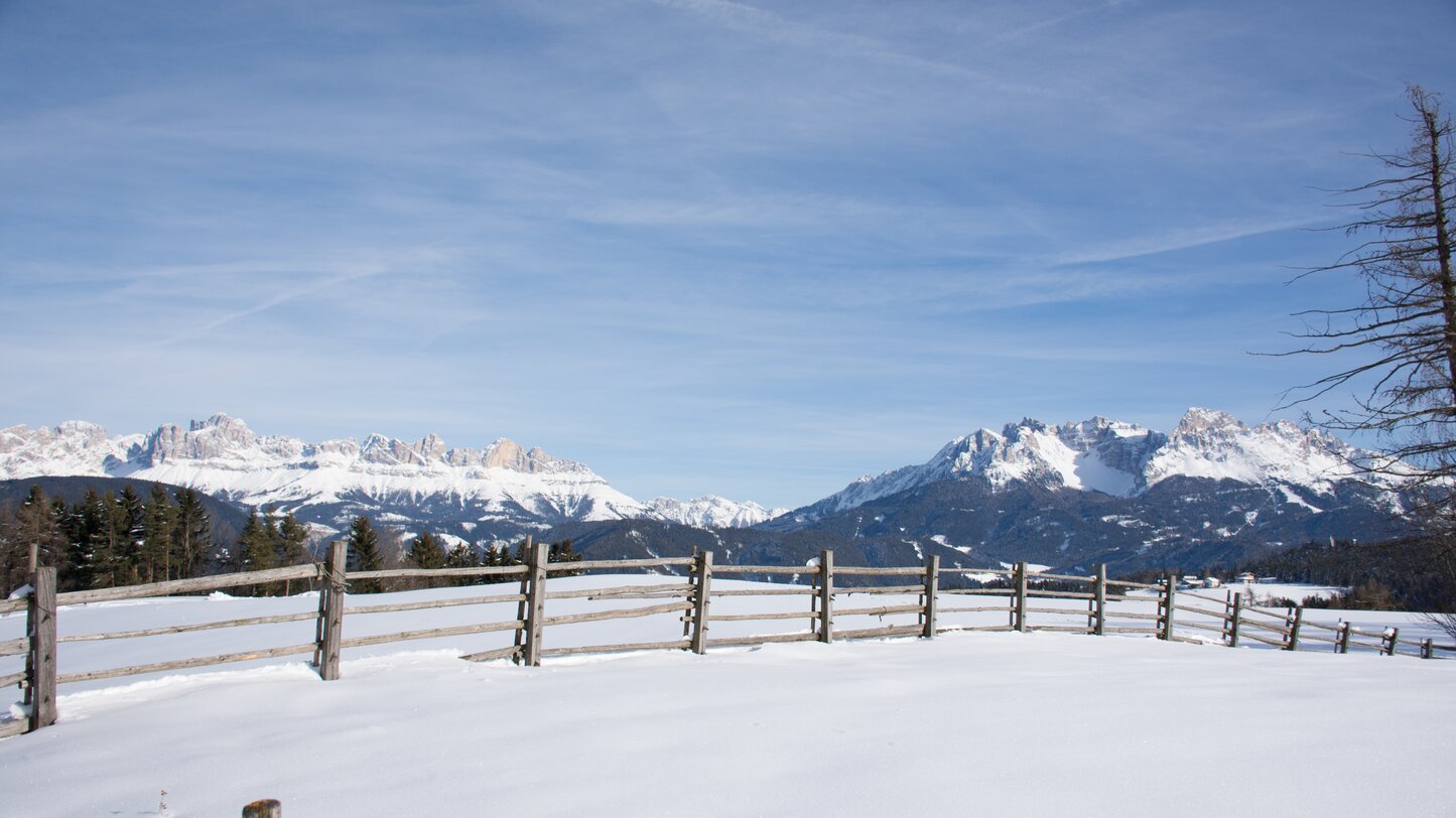 Rosengarten und Latemar im Winter | © Alexandra Näckler