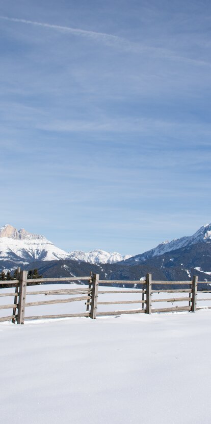 Rosengarten and Latemar in winter time | © Alexandra Näckler