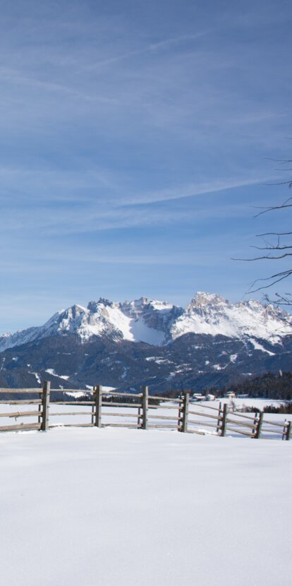 Rosengarten und Latemar im Winter | © Alexandra Näckler