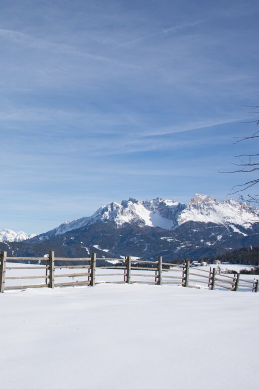 Rosengarten und Latemar im Winter | © Alexandra Näckler