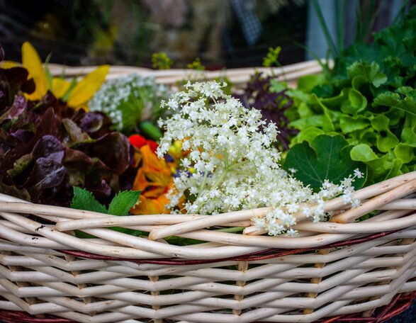 © Alexandra Näckler