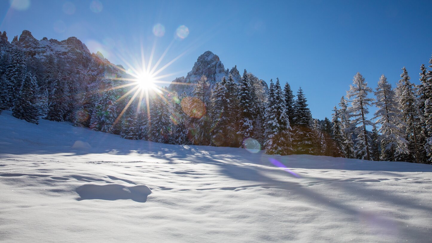 Schnee Winter Wald Berge Sonne | © Ph. Günther Pichler