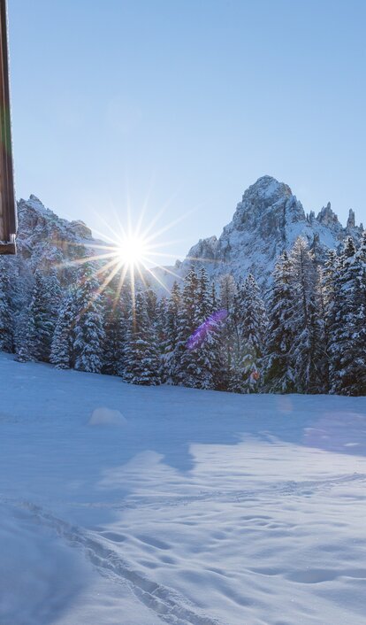 Hütte Berge Schnee Wald Natur | © Ph. Günther Pichler