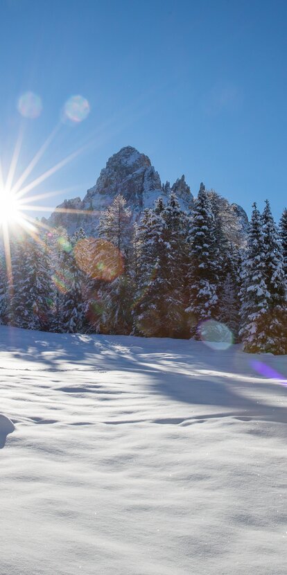 neve inverno foresta montagne sole | © Ph. Günther Pichler