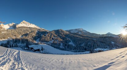 Panorama Berge Wald Schnee  | © Ph. G. Pichler